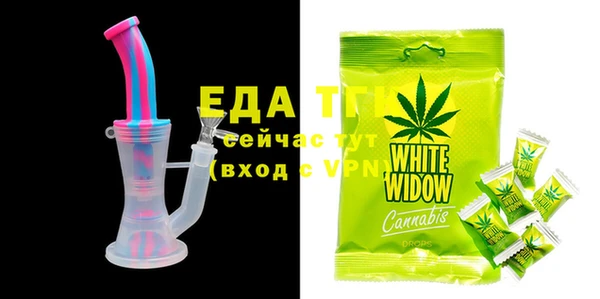 хмурый Абаза