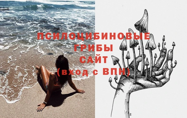 гашик Алзамай