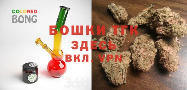 хмурый Абаза